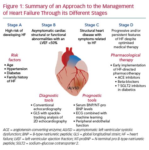 moderate lv systolic dysfunction treatment|moderately decreased Lv systolic function.